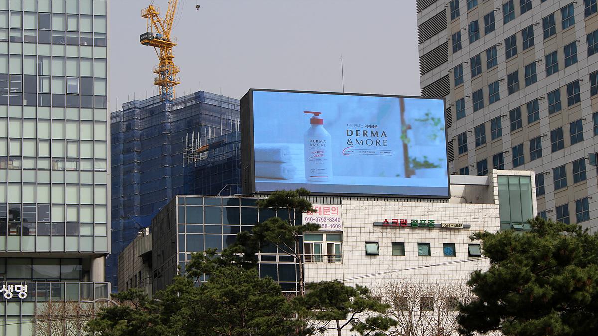서울 강서구 공항대로 411 (등촌동)