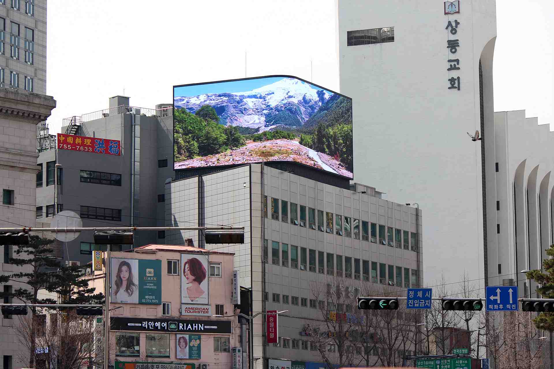 서울 중구 남대문로 36 (회현동1가)
