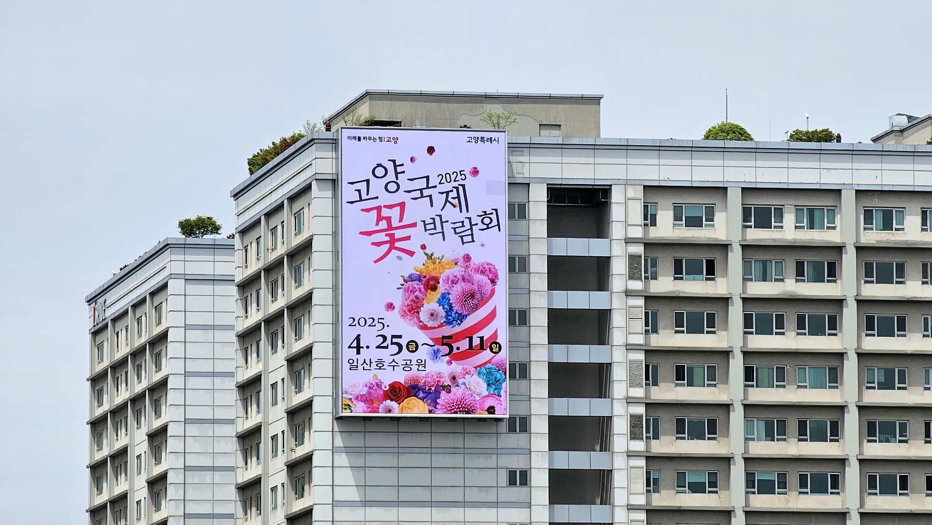 경기 고양시 일산동구 중앙로 1322 (정발산동, 일산현대아이스페이스)