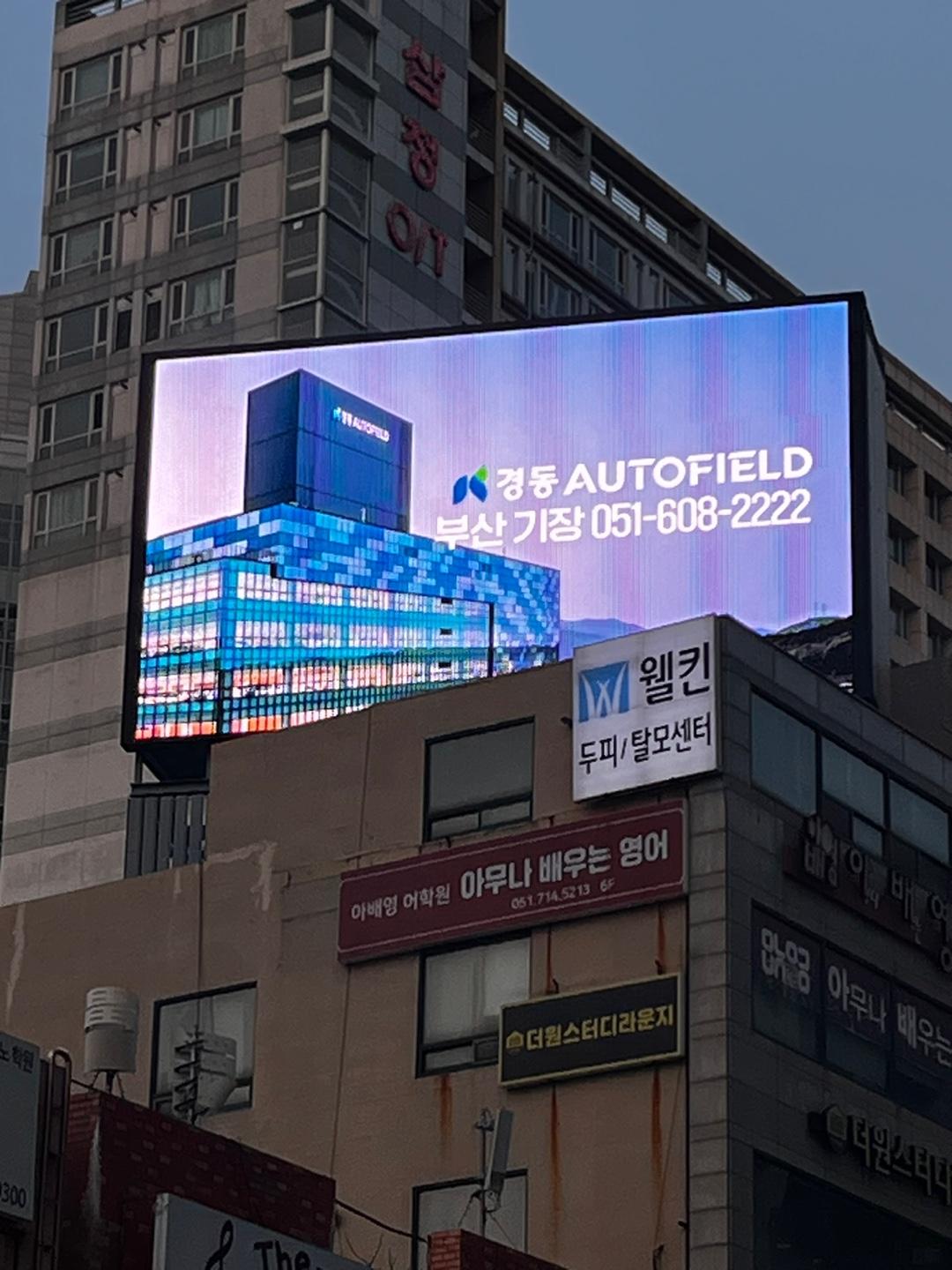부산 남구 수영로 315 (대연동)