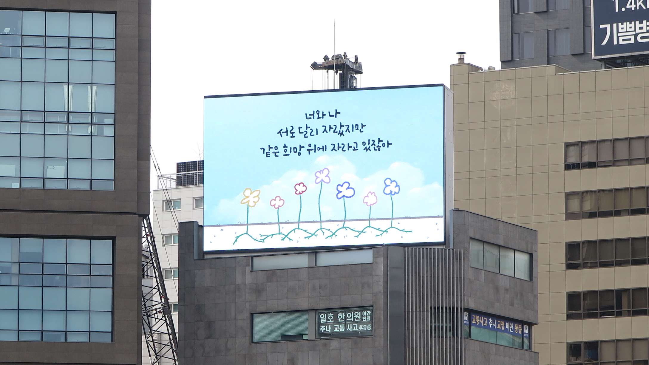 서울 서초구 강남대로 243 (서초동) 다보빌딩